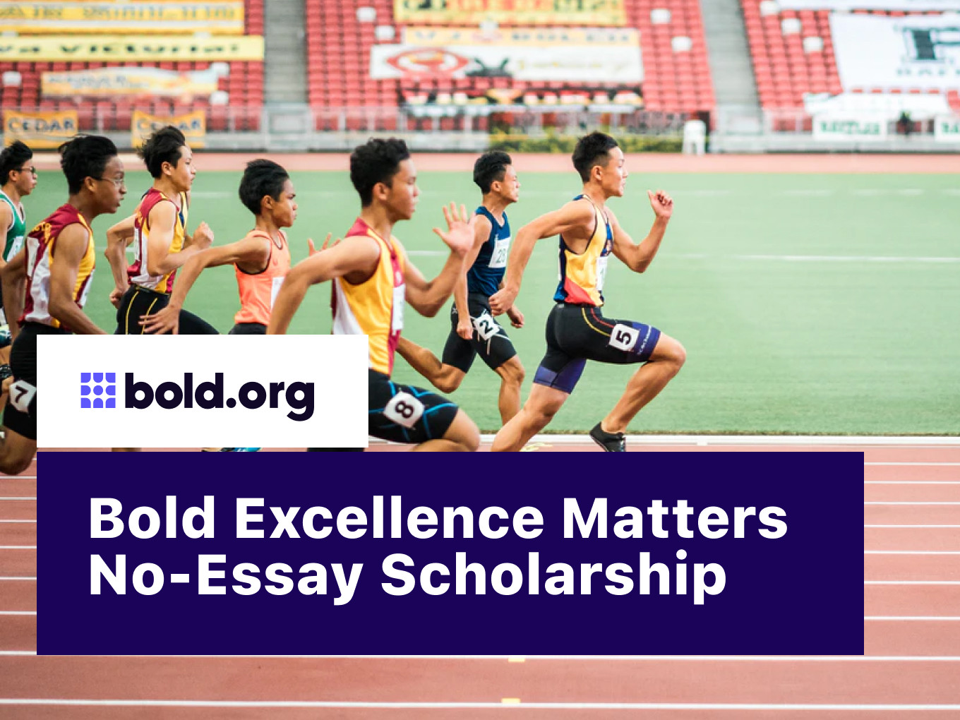 300 bold points no essay scholarship image